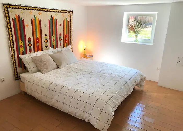 公寓 Ozwa - One 扎科帕内